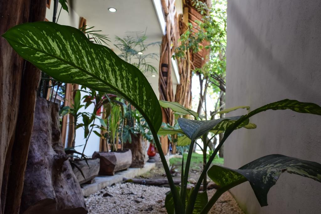 Corazon De Jade Tulum Hotel Kültér fotó